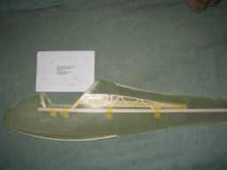 08_wurzelrippe